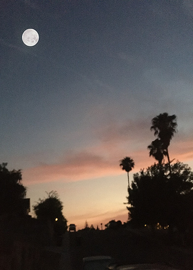 LD04: Full Moon Morning in Neighborhood