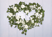 TR4 Gardenia Heart