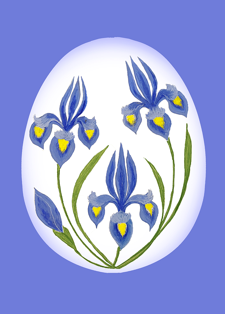 Dutch Iris Egg